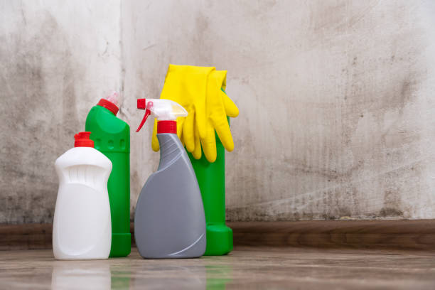 Why You Should Choose Our Mold Remediation Services in Shoemakersville, PA